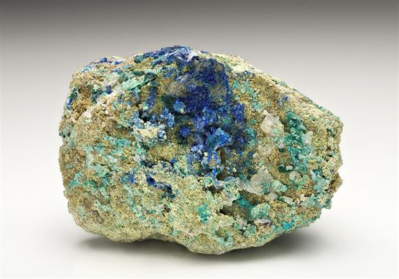 CC15731 specimen image
