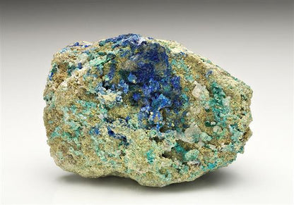 CC15731 specimen image