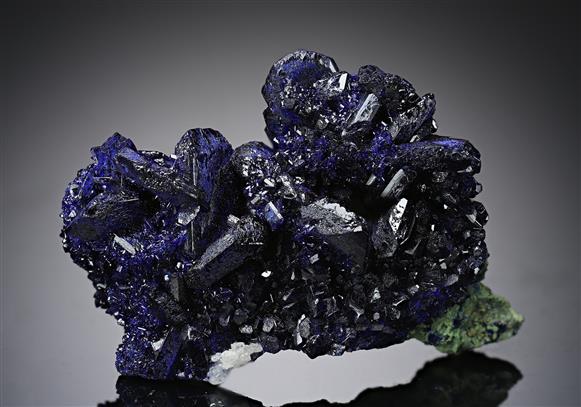 CC15732 specimen image