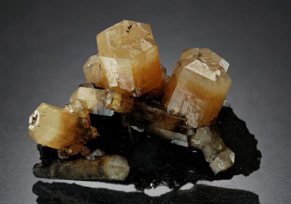 CC15733 specimen image