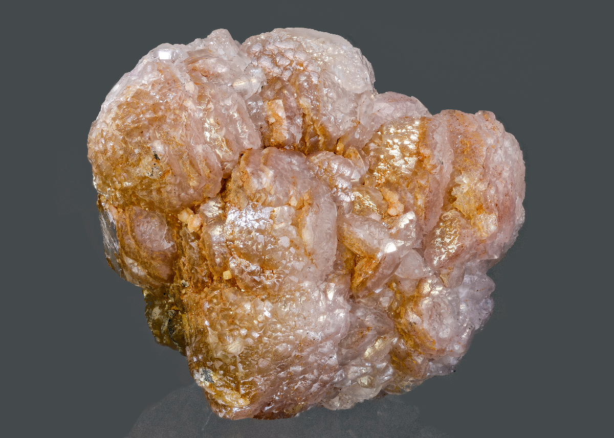 CC15751 specimen image
