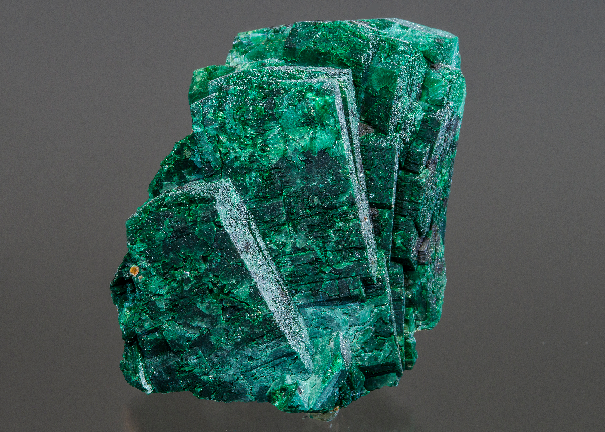 CC15760 specimen image