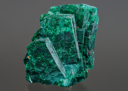CC15760 specimen image