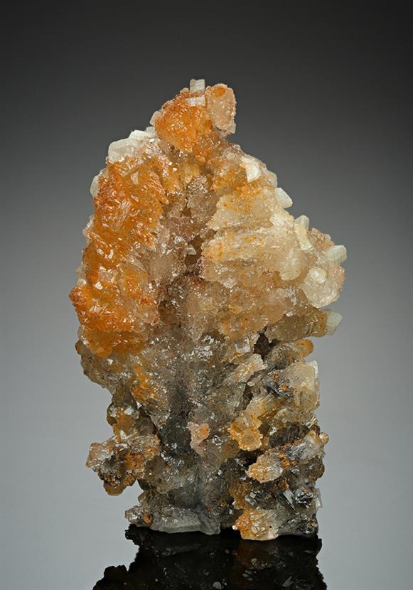 CC15761 specimen image