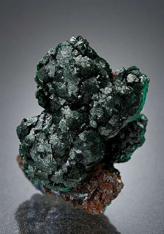 CC15770 specimen image