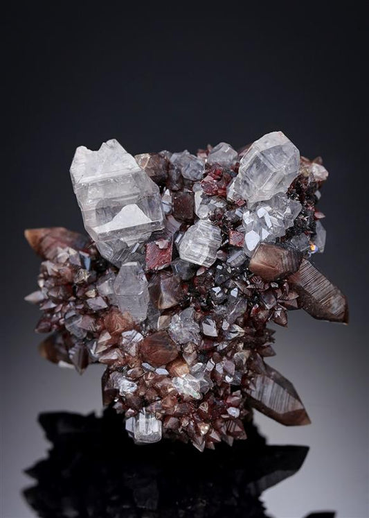 CC15771 specimen image