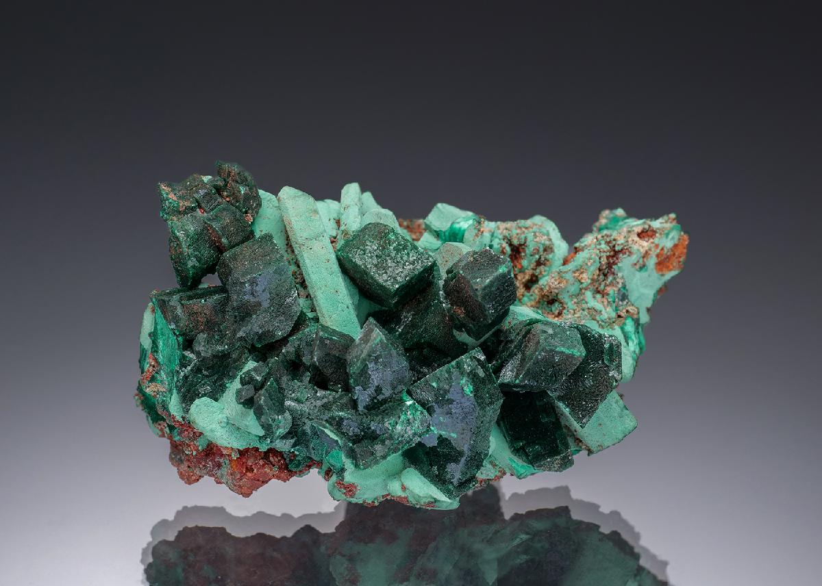 CC15775 specimen image