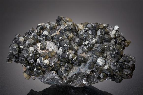 CC15778 specimen image