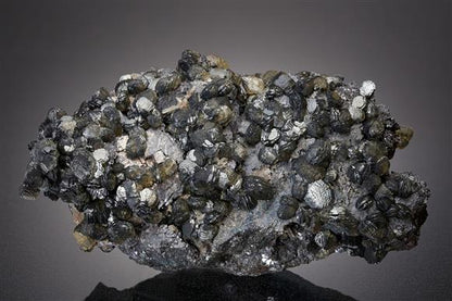 CC15778 specimen image