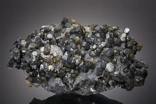 CC15778 specimen image