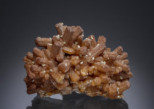 CC15785 specimen image