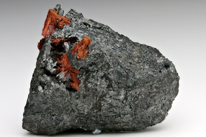 CC15805 specimen image