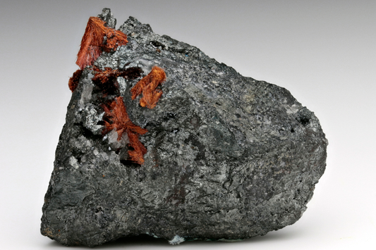 CC15805 specimen image