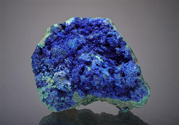 CC15828 specimen image