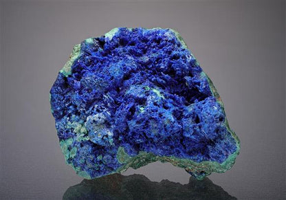 CC15828 specimen image