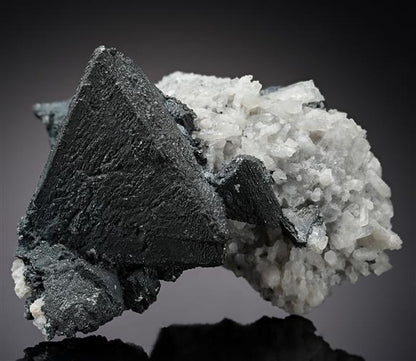 CC15831 specimen image