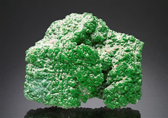 CC15833 specimen image