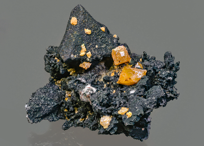 CC15843 specimen image