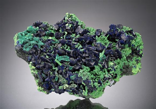 CC15848 specimen image