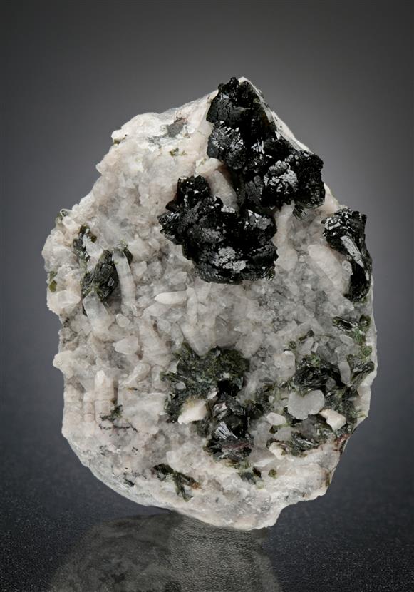 CC15849 specimen image
