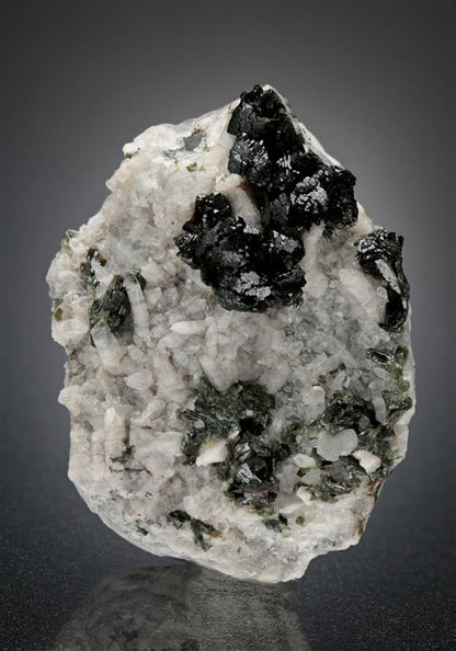 CC15849 specimen image