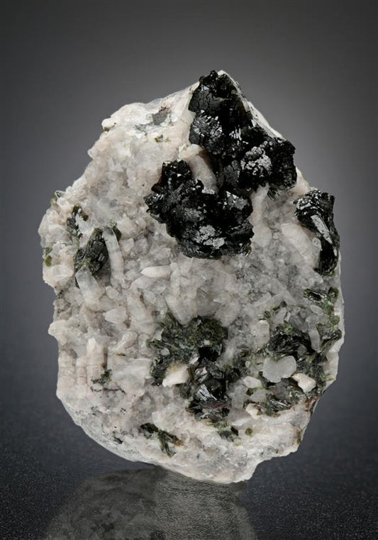 CC15849 specimen image