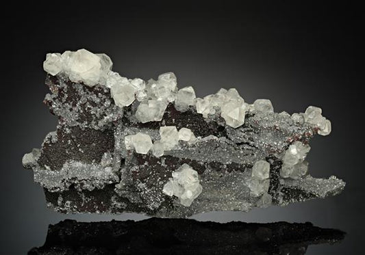 CC15857 specimen image