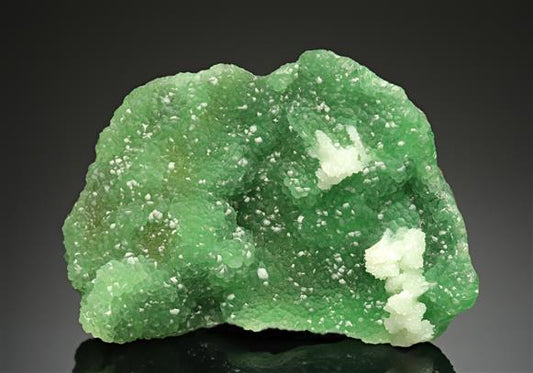 CC15863 specimen image