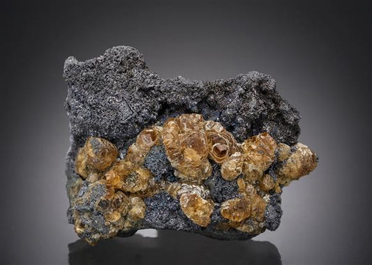 CC15867 specimen image