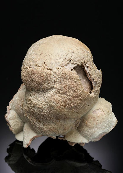 CC15868 specimen image