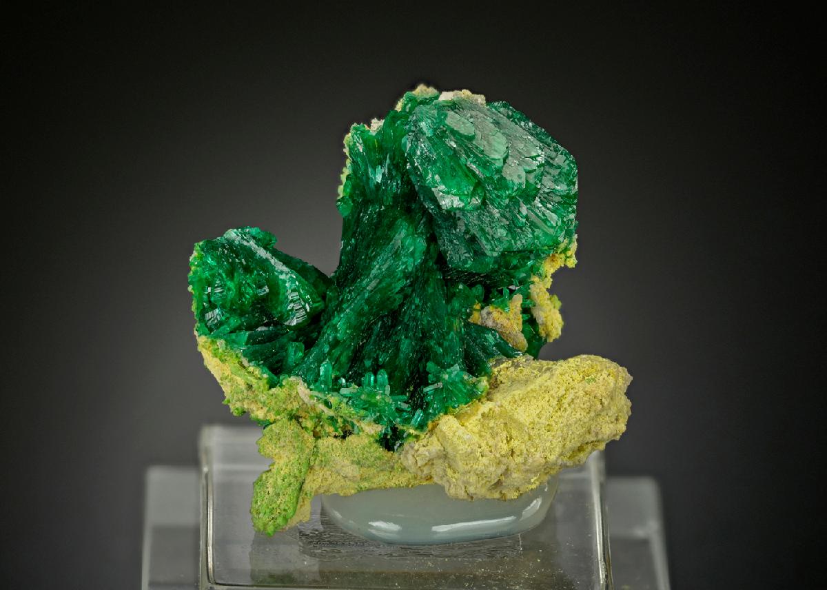 CC15875 specimen image