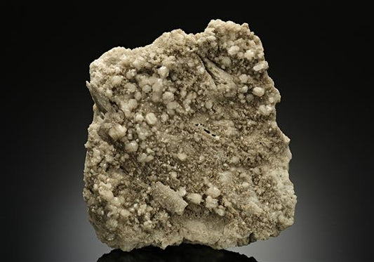 CC15888 specimen image