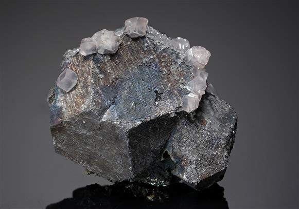 CC15901 specimen image