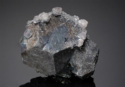 CC15901 specimen image
