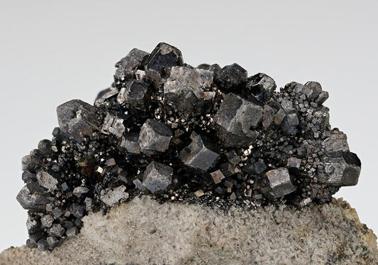 CC15915 specimen image