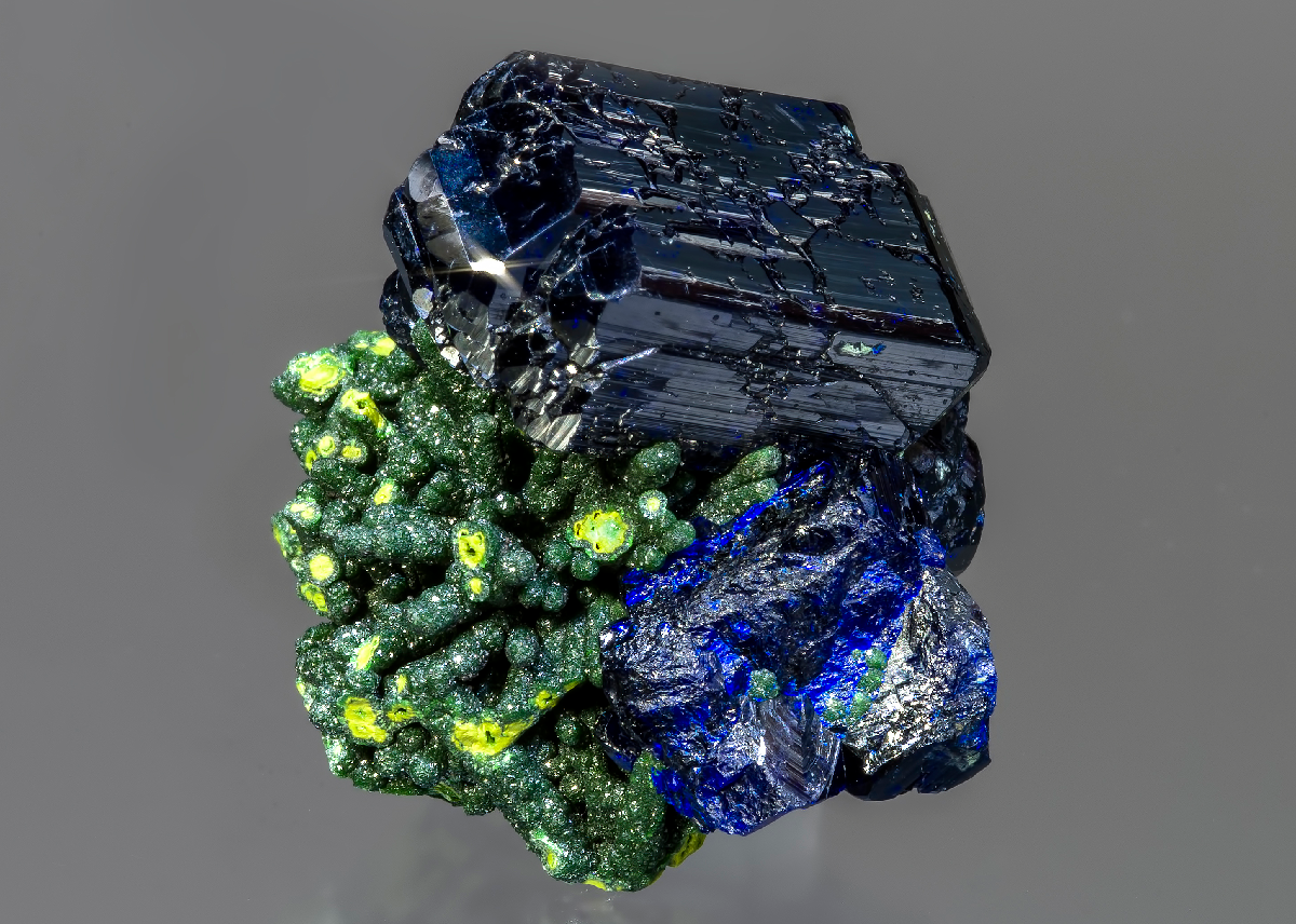 CC15945 specimen image