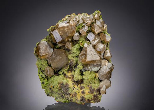 CC15958 specimen image