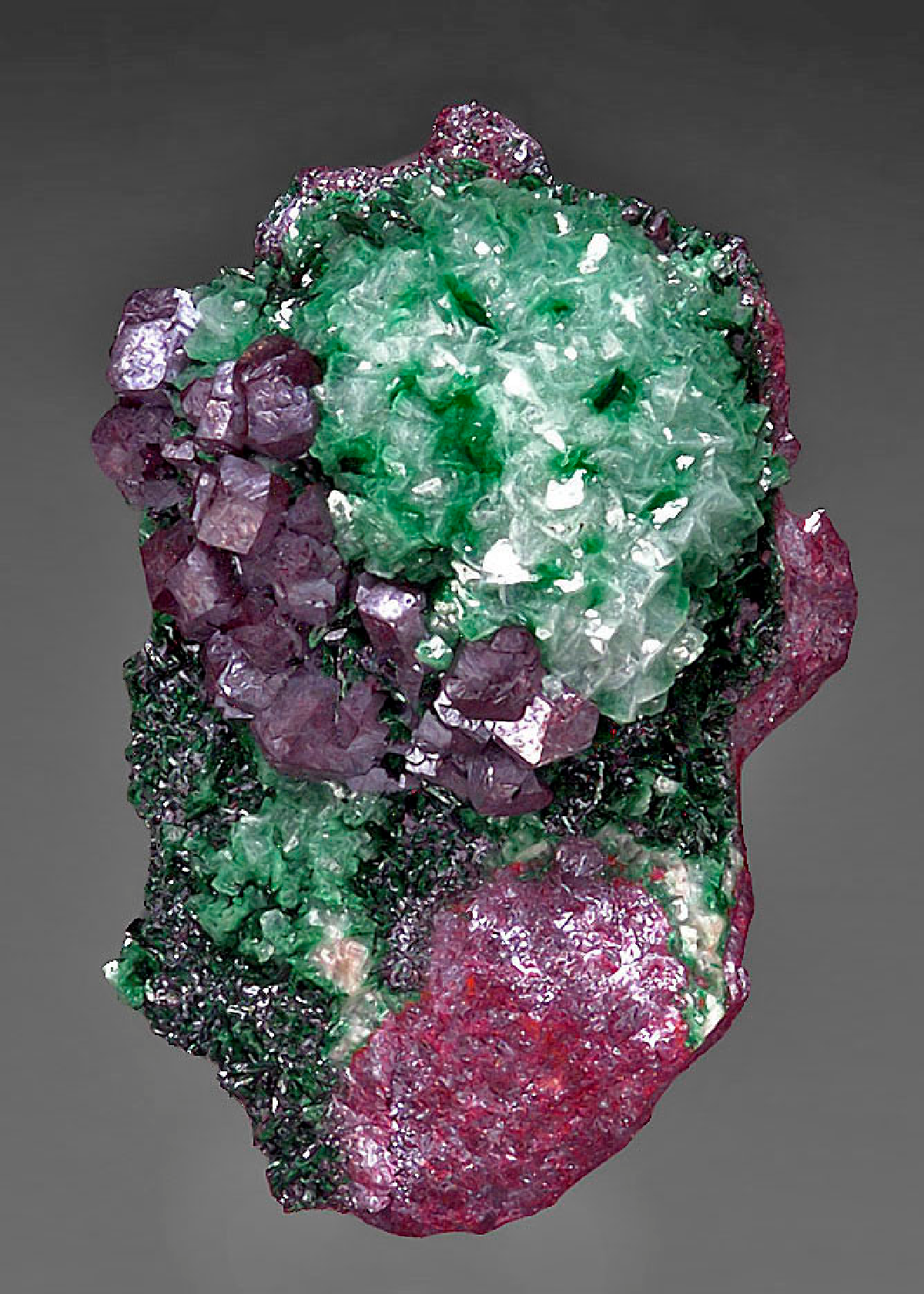 CC15959 specimen image