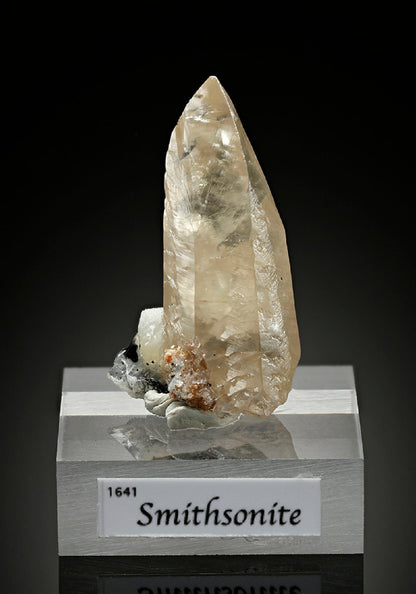 CC15964 specimen image