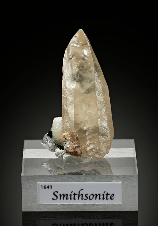 CC15964 specimen image