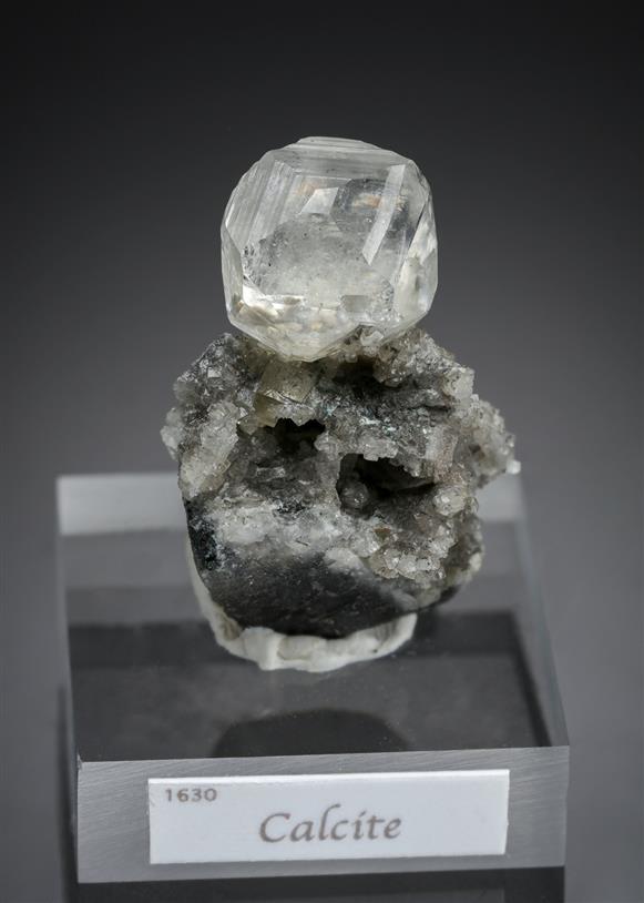 CC15972 specimen image
