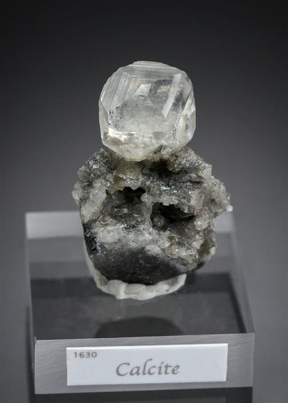 CC15972 specimen image