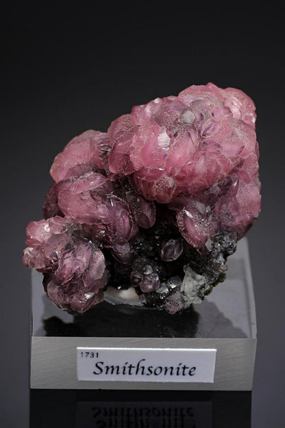 CC15983 specimen image