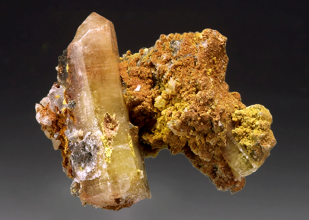 CC16009 specimen image
