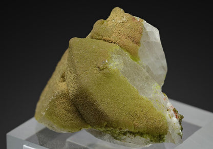 CC16012 specimen image