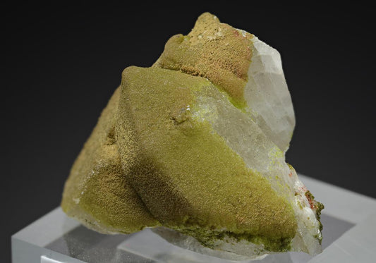 CC16012 specimen image