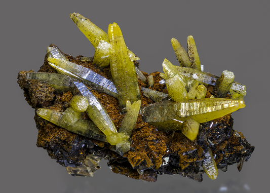 CC16014 specimen image