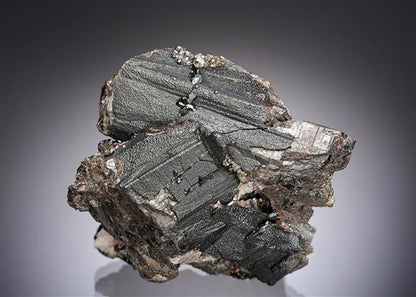 CC16015 specimen image