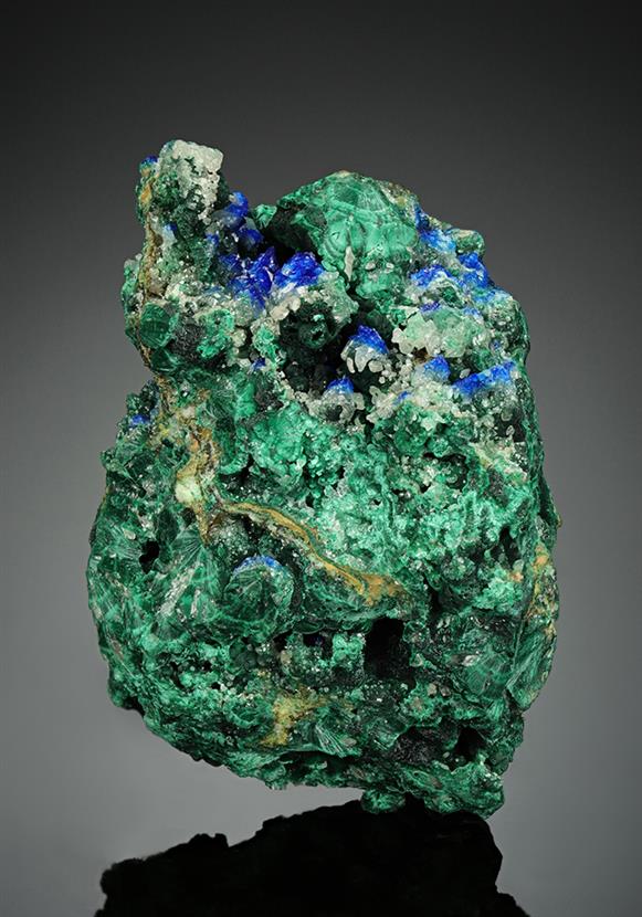 CC16017 specimen image