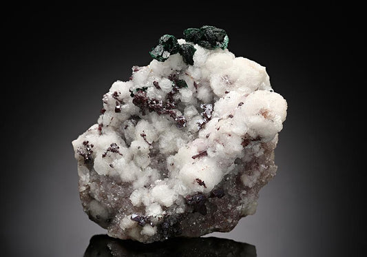 CC16021 specimen image